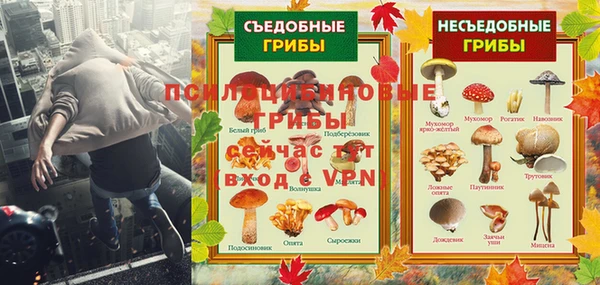 метадон Касимов