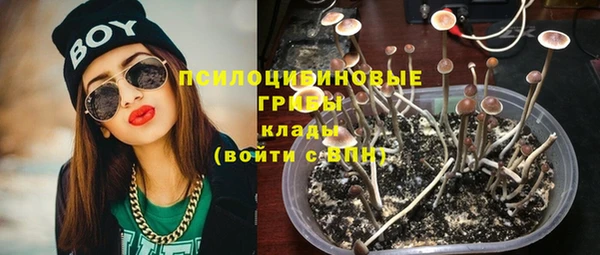 метадон Касимов