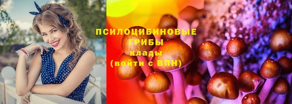 спайс Кинешма